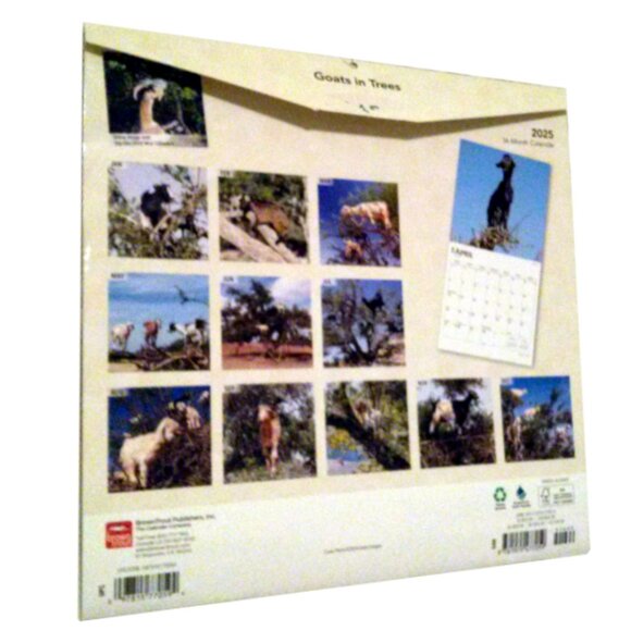 2025 Calendar, Goats in Trees, Monthly, 12" x 24" - Opened, Great Condition - Picture 14 of 15